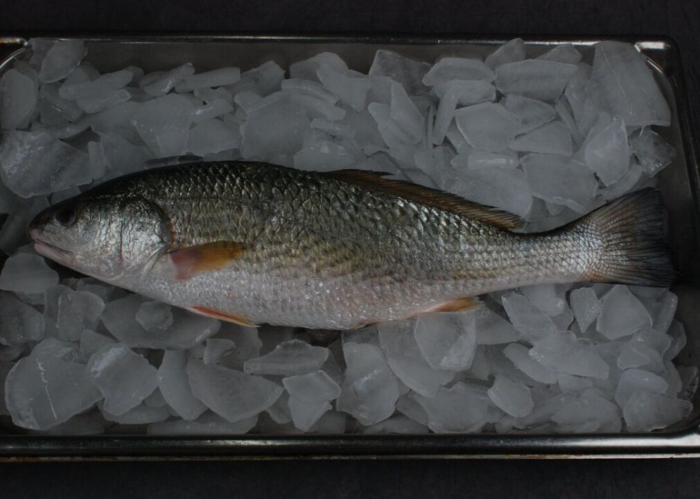 Redfish